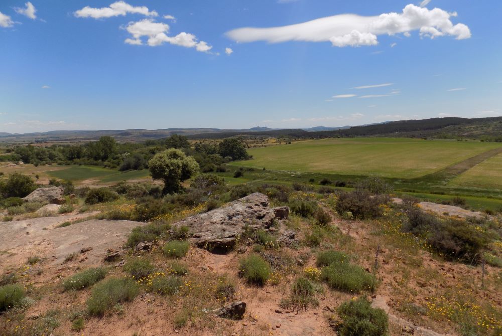 Imagen de la sección